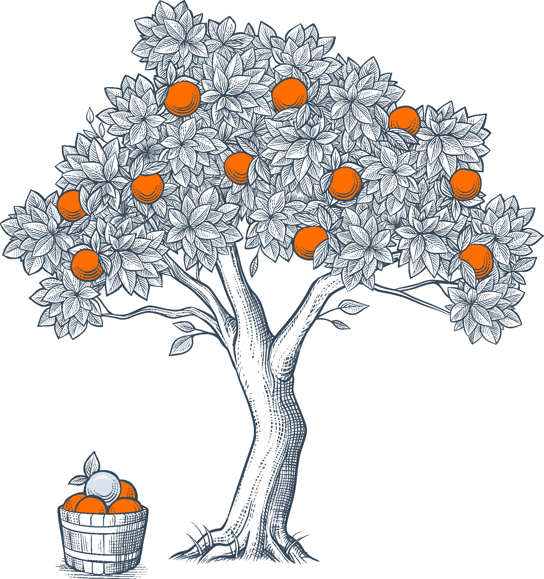 A basket of oranges next to an orange tree